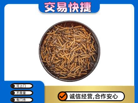 达州回收散虫草